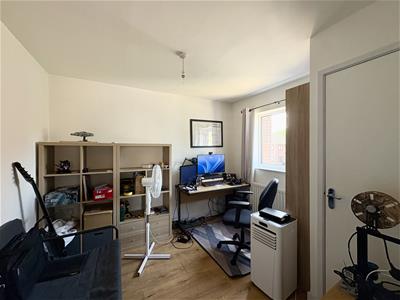 Picture 11